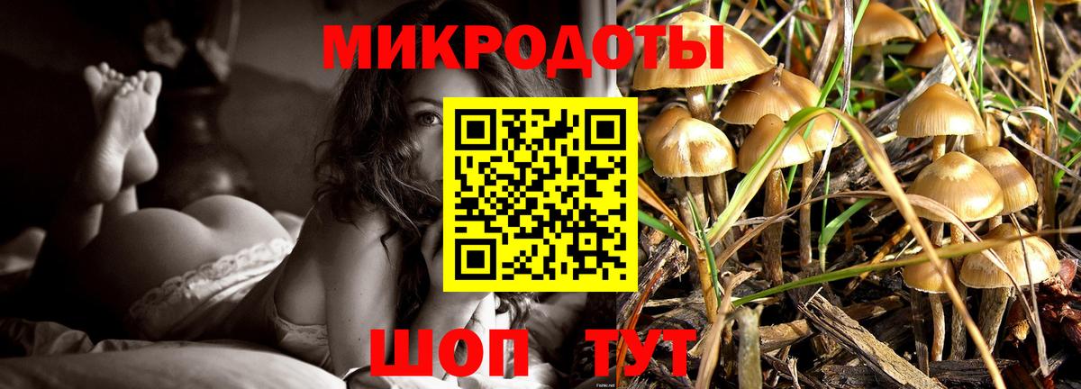 Галлюциногенные грибы Psilocybine cubensis Родники