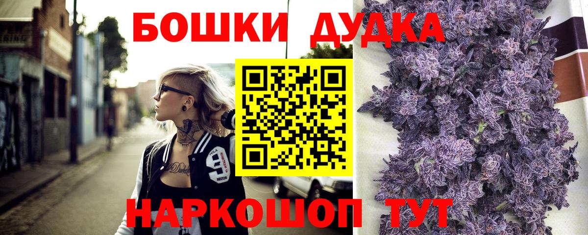 Бошки Шишки планчик Родники